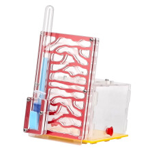 Transparent Acrylic Ant Farm with Feeder, 360 Clear View Habitat for Kids and Hobbyists  Red