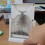 Galton Board Probability Demonstration Kit, 12x18cm Normal Distribution Model for Classroom Learning 4