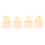 Resin Teeth Practice Model with Durable Realistic Design for Student Dental Training 8X 2