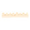 Resin Teeth Practice Model with Durable Realistic Design for Student Dental Training 8X 3