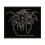 Darkthrone Lurex Woven Logo Patch 1