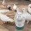 Abreuvoir ABS Pour Pigeons Oiseaux 7