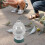 Abreuvoir ABS Pour Pigeons Oiseaux 8