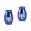 2 Pieces Pet Urn Ashes Container For Small Dogs Keepsake Memorial 5