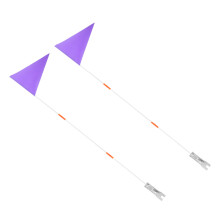 10Pcs Portable Violet Bike Flags for Kids with Durable Fiberglass Pole