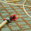Fire Sprinkler Covers For Ceiling Residential Decorative Plate 4