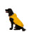 (S, Sunshine) Trespaws Waterproof Dog Coat Packaway Seadog 5