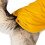 (S, Sunshine) Trespaws Waterproof Dog Coat Packaway Seadog 10