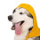 (S, Sunshine) Trespaws Waterproof Dog Coat Packaway Seadog 9