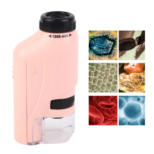 Microscope à main pour enfants Rose Portable Haute Définition Mini Microscope