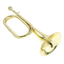 Beginner BB Bugle Brass Instrument with Golden Finish and Gloves for School Bands and Parties