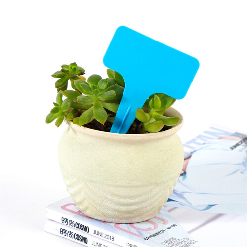 20PCS Light Blue T-Shape Garden Labels – 6x3x10cm Plant Tags