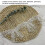 2 Rolls Embroidered Lace Trim Bow Soft Double Layer Mesh 9cm 6