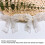 2 Rolls Embroidered Lace Trim Bow Soft Double Layer Mesh 9cm 8