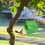 Creative Garden Bird Feeder Iron 1