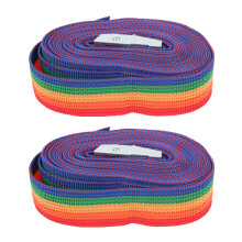 Spanngurt Zurrgurt 2 Stück 3m Zink-Eisen 25mm bunt