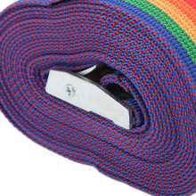 Zurrgurt 3m Zink-Eisen-Schnalle 25mm bunt 2 Stück