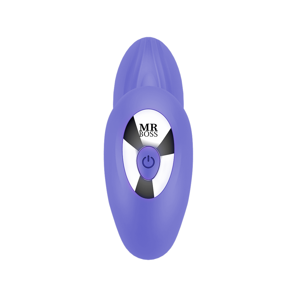 Mr. Boss Mr Boss - Josef Pulsation & Vibration Remote Control For Couples