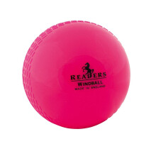 Readers Childrens/Kids Windball Training Cricket Ball