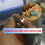 12 Peças 90º Hart Burr - Haste de 3/32 Polegadas 90 Graus Heart Burs Joias Engarving Bits Conjunto de Rebarbas Lapidárias 3