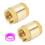 2PCS 1 Inch NPT Female Thread Spring Check Valve, Solid Brass Non Return One Way Horizontal Check Valve for Well, Pump 1