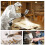 Texture Sprayer Orifice Tip Set,3 Nozzle Tips,Threaded Collar for Wal-Board Drywall Texture-Pro 200 Hopper Machine 7