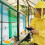 Bee Feeder, Hive Beekeeping Water Dispenser, Bee Hive Entrance Feeder, Beekeeping Tools (5-Pack) 5