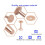 Copper Rivets and Burrs, Solid Brass Rust-Proof Studs Leather Copper Rivet for Leather Pure Copper Rivet Setting Tool 2