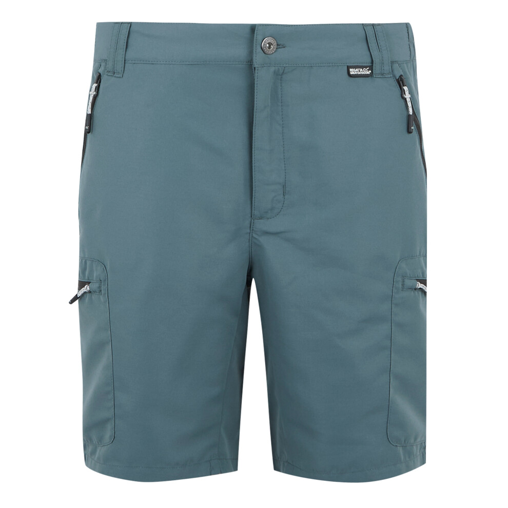 Regatta (44R, Stormy Weather) Mens Leesville Iii Shorts