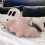Halloween Bat Plush Pillow Bat Modeling Pillow Halloween Gothic Bat Plush Pillow 4