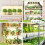 4pack LED Grow Panel Light Ultra-Thin Full Spectrum Dimmable Timer Plant Lights Under Cabinet Growing Lamp EU Plug 4