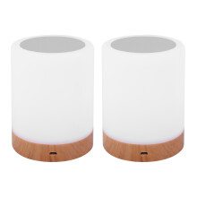 2X Night Light, Touch Lamp for Bedrooms Living Room Portable Table Bedside Lamps with Rechargeable Internal
