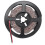 COIL TIRA 300 LED SMD  CALIENTE 5MT 1