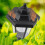 2 X LED op Zonne-, Buitentuinhek, Muurlantaarn, Lichtlamp, Lichtsensor 4