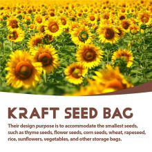 100Pcs Marron Seed Bag Seeding Bag Est Utilisé pour Stocker les Graines, les Petites PièCes, les PièCes de Monnaie, les Bijoux, Etc. (Environ