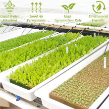 50St Steinwolle Hydroponic Grow Media  Cubes Plant Cubes Soilless Substrate Seed Rock Wool Plug Setzling Block