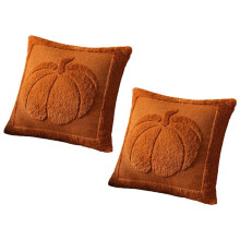 Fundas de Almohada de Otoño, Paquete de 2, Fundas de Cojín Bordadas de Calabaza Beige Otoñal, Fundas de Cojín de Piel Sintética de Felpa Suave C