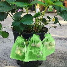 100 StüCk Traubenschutz mit Kordelzug, Obst-Netzbeutel-Schutz, Organza-GeschenktüTen