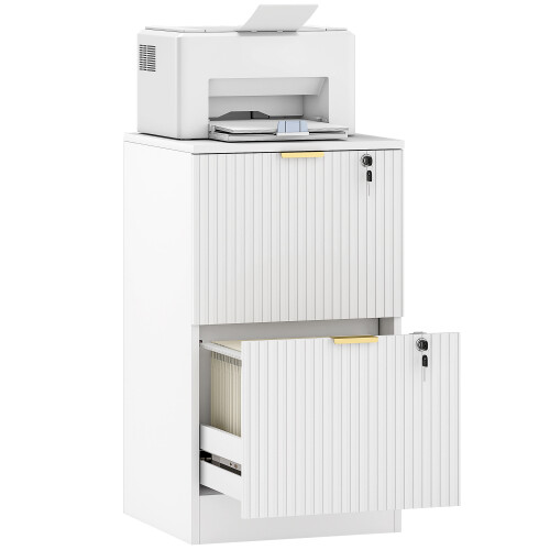 Homcom Filing Cabinet, File Cabinet with 2 Lockable Drawers and Hanging Rails 1