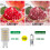 G9 LED Bulb Tuya WiFi Dimmable  Light 6W Halogen Light Voice Control  LED Bulbs 2700-6500K EU Plug 5