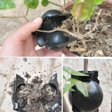 10Pcs Reusable Plant Rooting Equipment Kit Cutting Grafting Rooting Box Branch Rooting Propagator Breeding