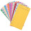 12 Budget Envelopes, Card Cash Envelope System, Save Money, Various Colors, Vertical Layout and Perforation 1