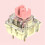 10PCS  Keyboard Axis V2 Silver Plated Mechanical Keyboard Axis DIY Keyboard  for Mechanical Keyboard 4