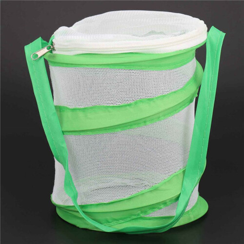 3X Small Praying Mantis Stick Insect Butterfly - Cage Housing Enclosure 1
