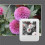 4X NFC Function Keyring 1.54-Inch Three Color Display Screen Image Wireless Transmission Keychain Ink Screen 4