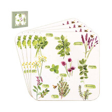 Coasters Set of 4 Herb Garden by Jennifer Rose Square Laminated Cork Drinks Pads
