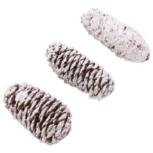 20 STUKS Dennenappeldecoraties, Natuurlijke Sneeuw Dennenappels Grote Dennenappels Kerst Dennenappelornamenten
