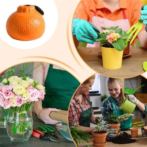 Ceramic Hydroponic Vase Home Tabletop Decorative Decorations Fruit Planter Ceramic Living Room Ornaments