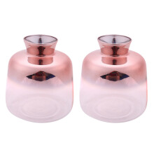 2X Glass Vase Nordic Electroplated Gold Vase Glass Flower Vases for Home Decor Dried Flower Bottle Bar(9X11cm)