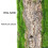 3X Artificial Bark Decoration Real Dried Pine Tree Bark with Artificial Moss 2